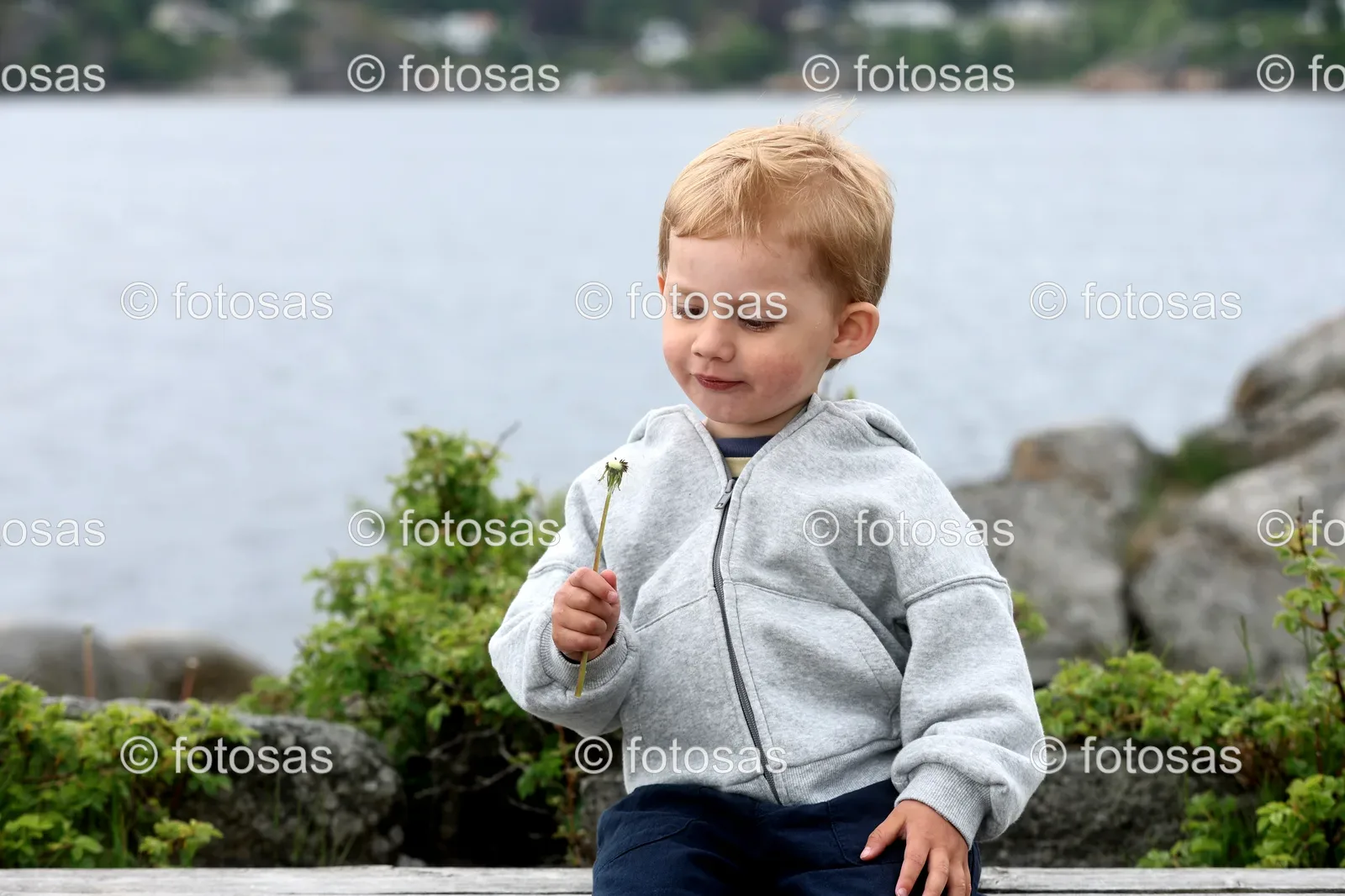 B26BD337.jpg