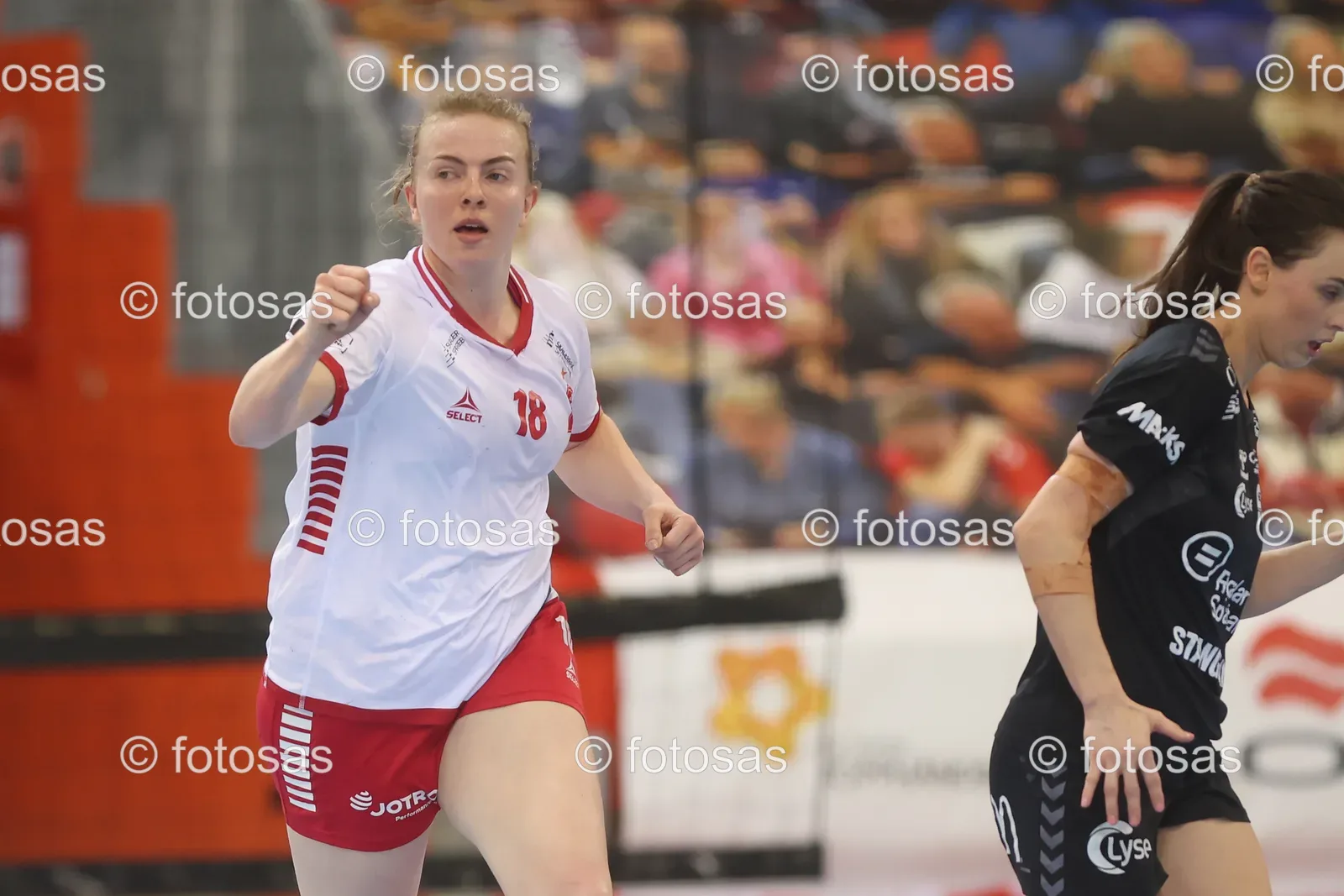 B25VA248.jpg